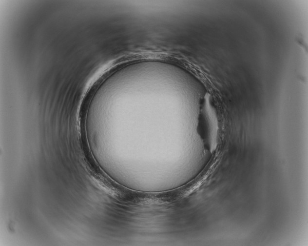 X0000097770246200803281646