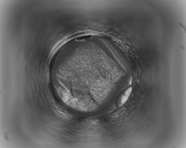 X0000097770247200803281646