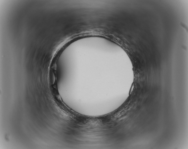 X0000097770248200803281646