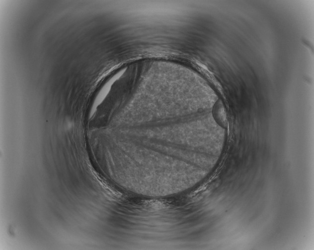 X0000097770249200803281646