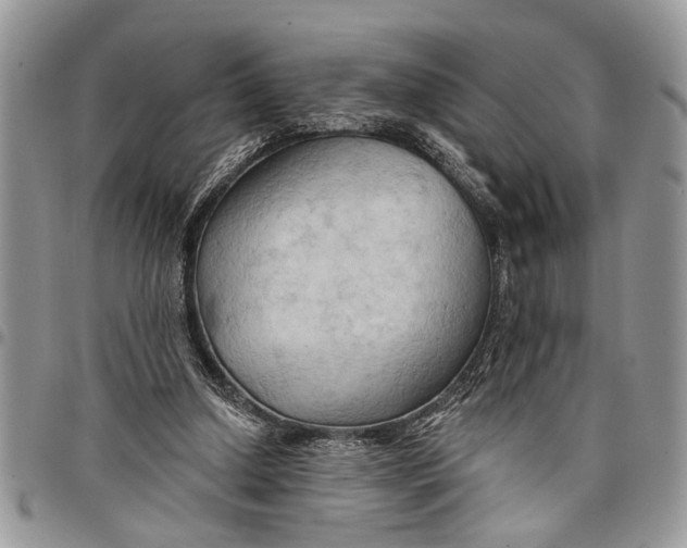 X0000097770250200803281646