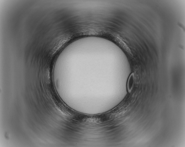 X0000097770251200803281646