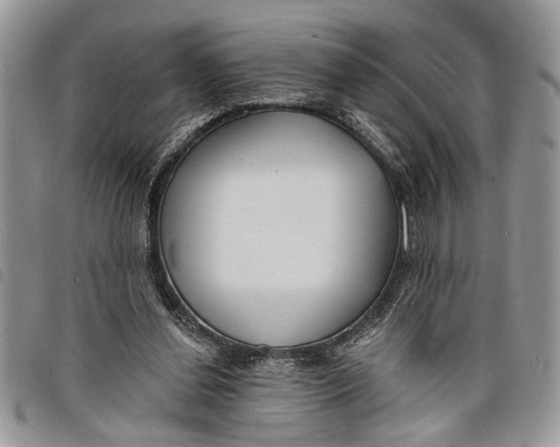 X0000097770252200803281646