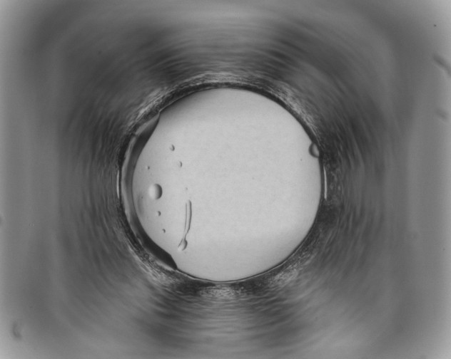 X0000097770253200803281646