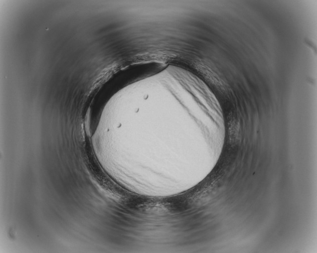 X0000097770254200803281646