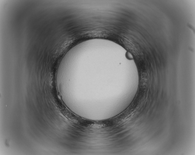 X0000097770255200803281646