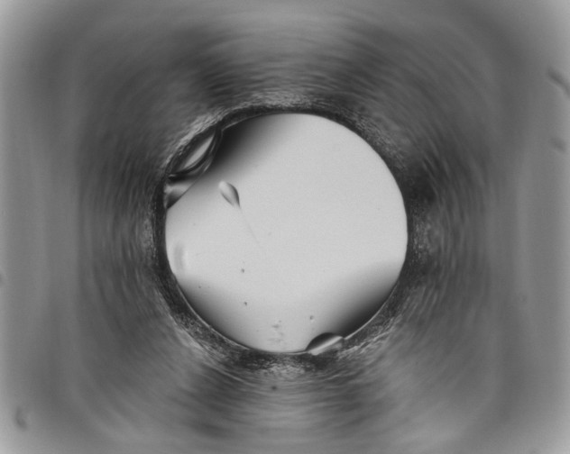 X0000097770256200803281646