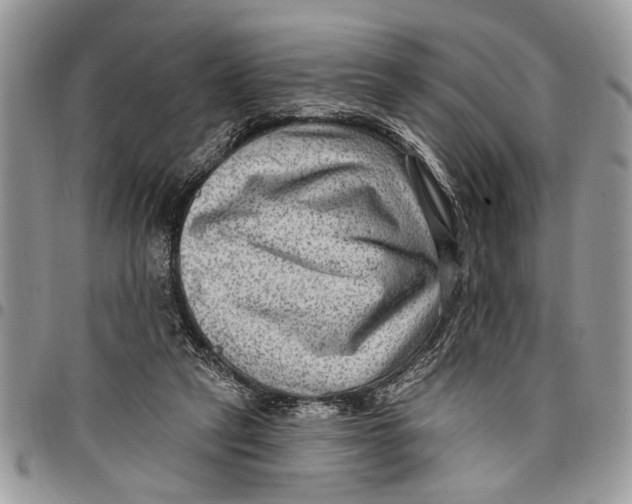 X0000097770257200803281646