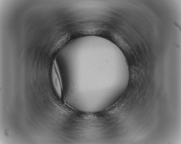 X0000097770258200803281646