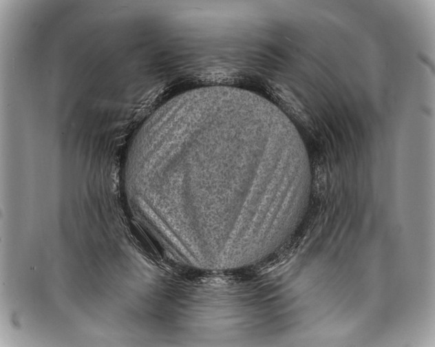 X0000097770259200803281646