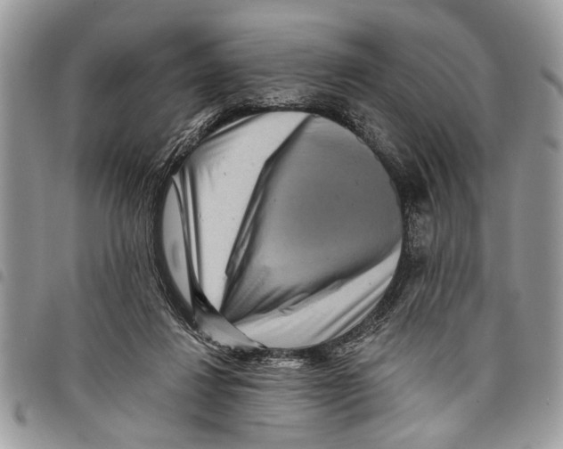 X0000097770260200803281646