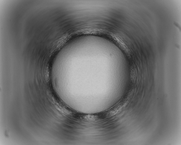 X0000097770261200803281646