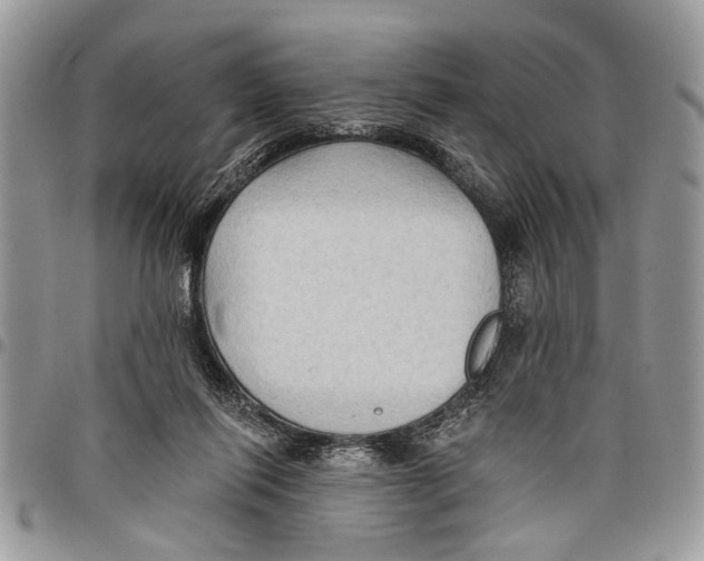 X0000097770262200803281646