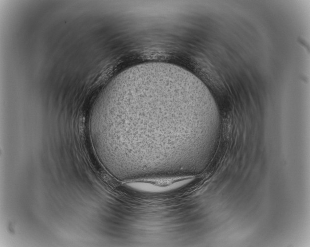 X0000097770263200803281646