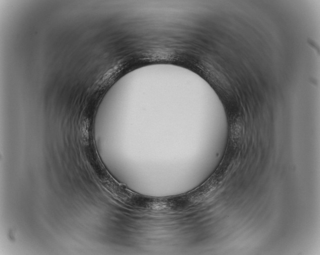 X0000097770264200803281646