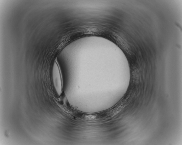 X0000097770265200803281646