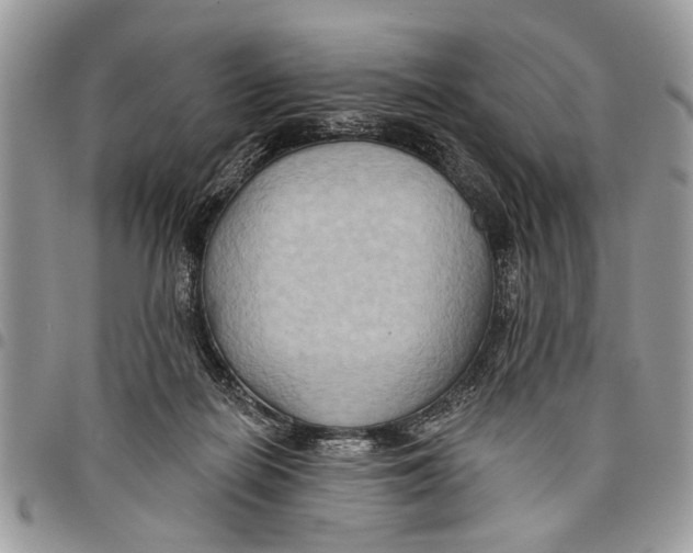 X0000097770266200803281646