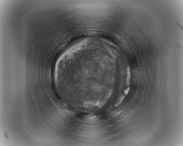 X0000097770267200803281646