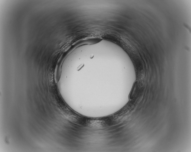 X0000097770268200803281646