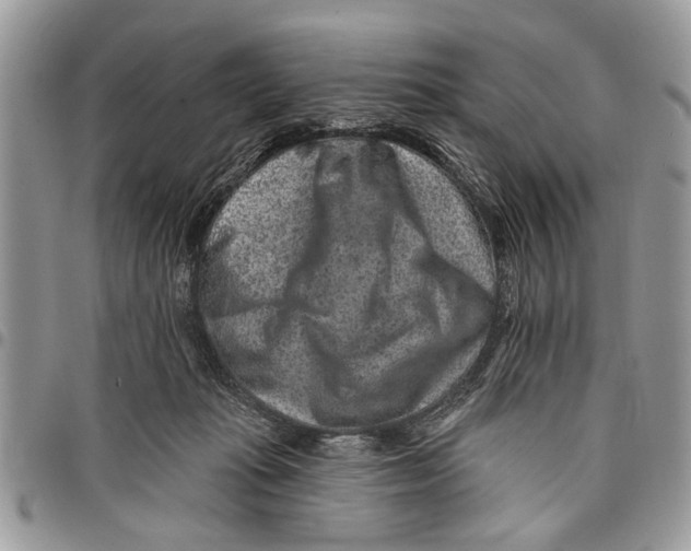 X0000097770269200803281646