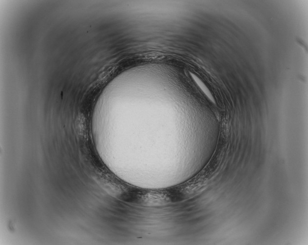 X0000097770270200803281646