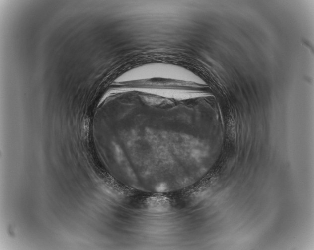 X0000097770271200803281646