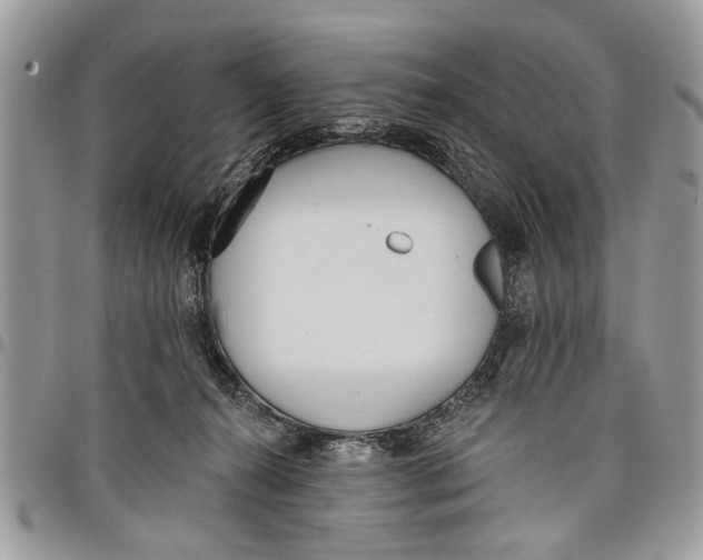 X0000097770272200803281646