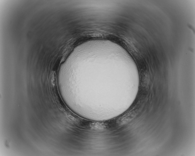 X0000097770273200803281646