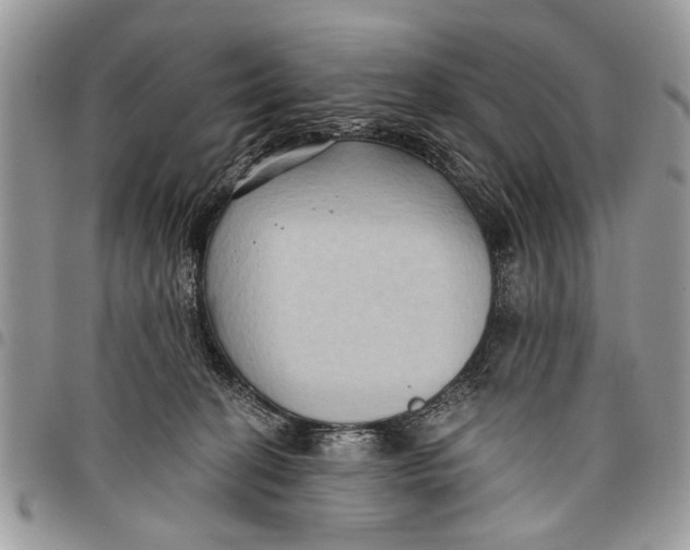 X0000097770274200803281646