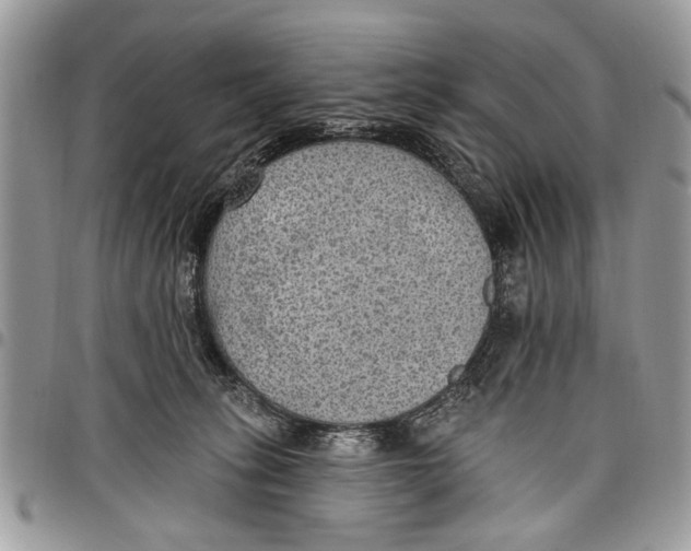 X0000097770275200803281646