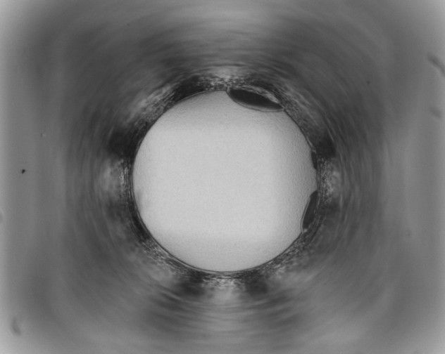 X0000097770276200803281646