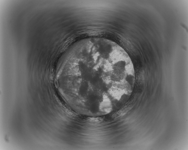 X0000097770277200803281646