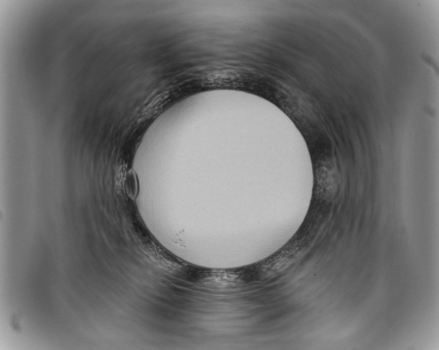 X0000097770278200803281646