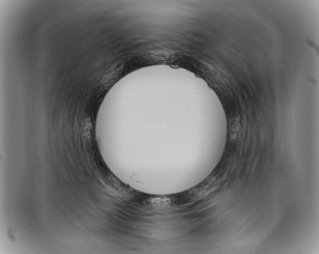 X0000097770279200803281646