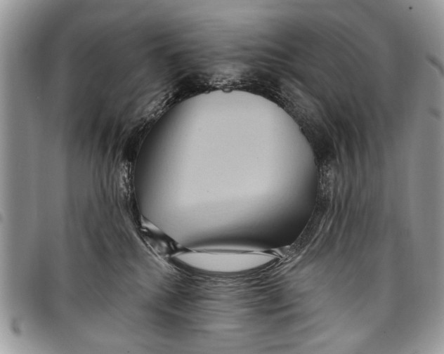 X0000097770280200803281646