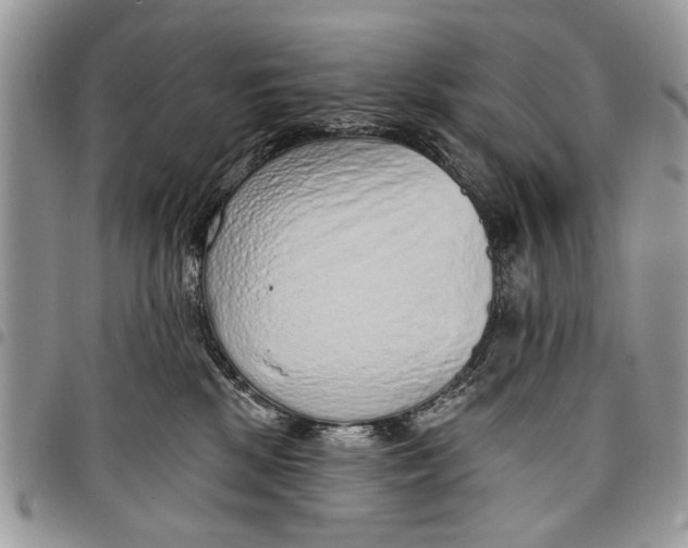 X0000097770281200803281646