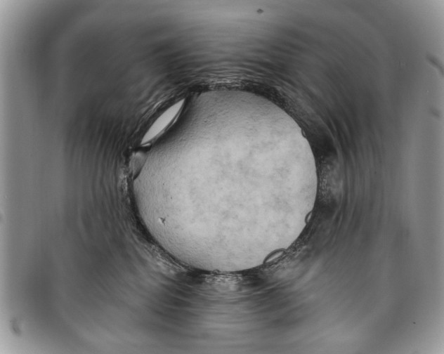 X0000097770282200803281646