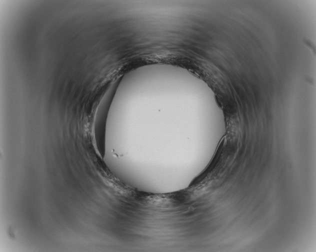 X0000097770284200803281646