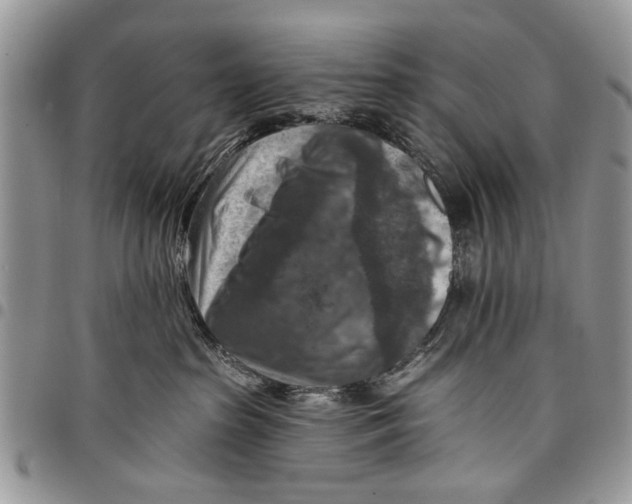 X0000097770285200803281646