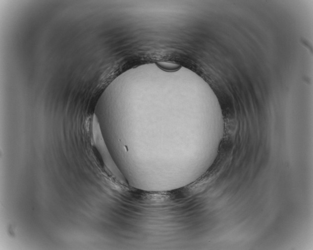 X0000097770286200803281646