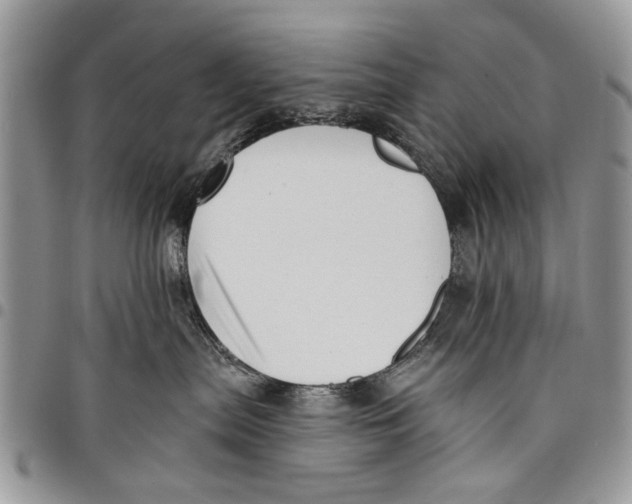 X0000097770287200803281646