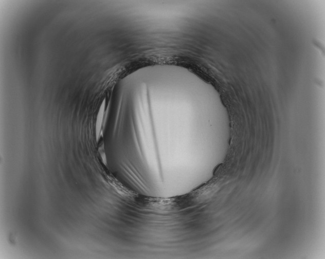 X0000097770288200803281646