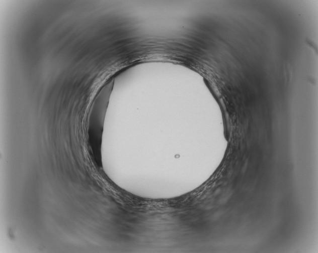 X0000097770289200803281646