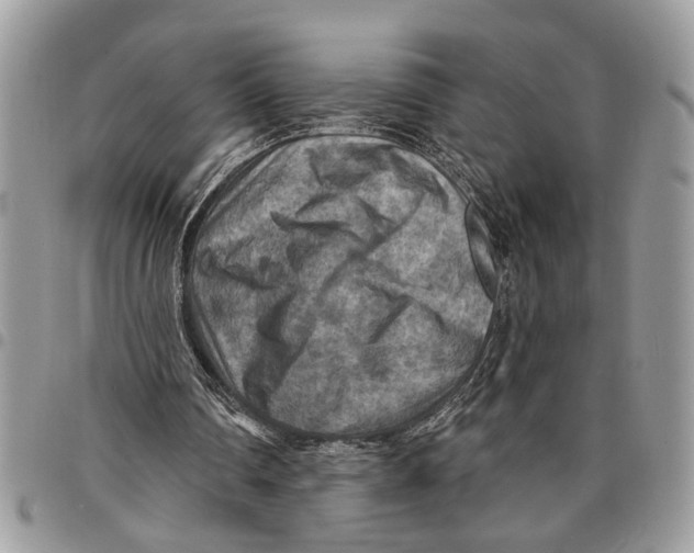 X0000097770290200803281646