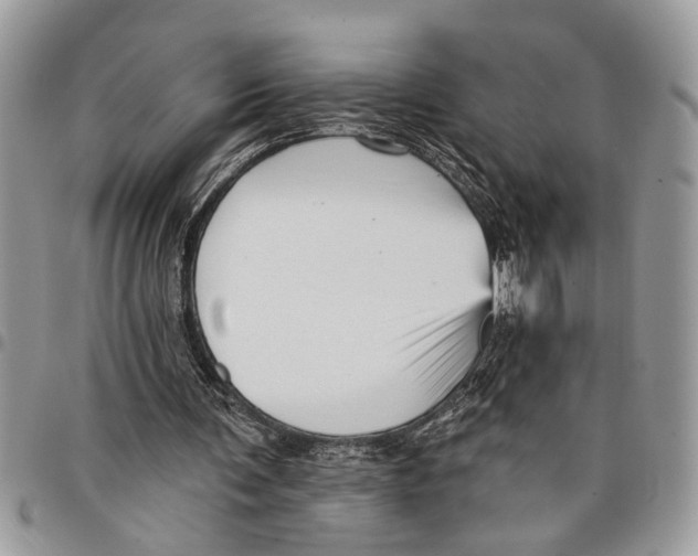 X0000097770291200803281646