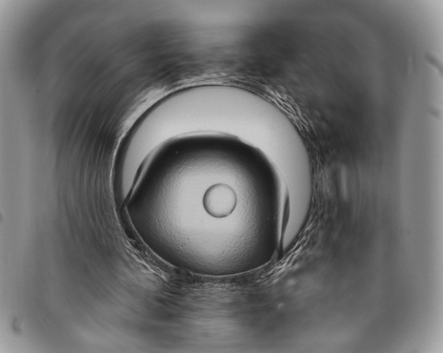 X0000097770292200803281646