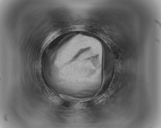 X0000097770293200803281646