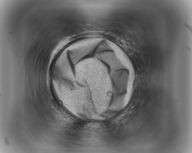 X0000097770294200803281646