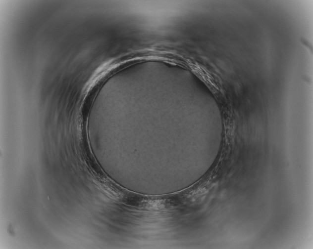 X0000097770295200803281646