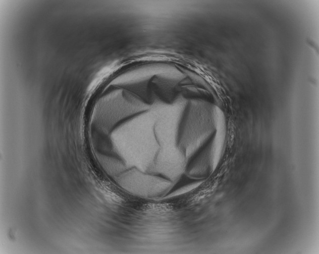 X0000097770296200803281646